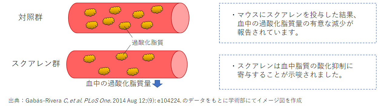 スクアレンを摂取したマウスの血中過酸化脂質量の変化