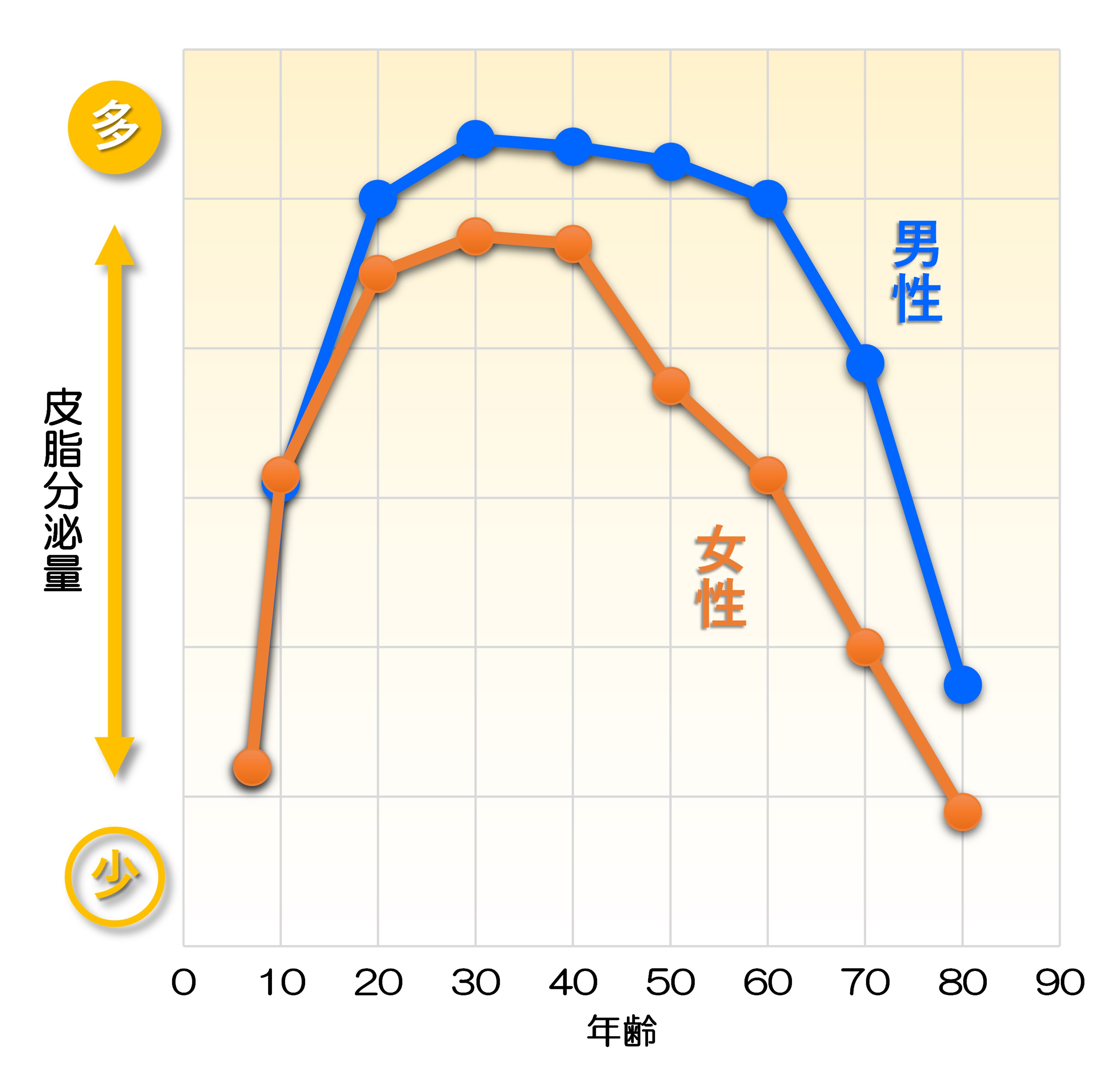 スクアレンの性別・年齢別経時変化